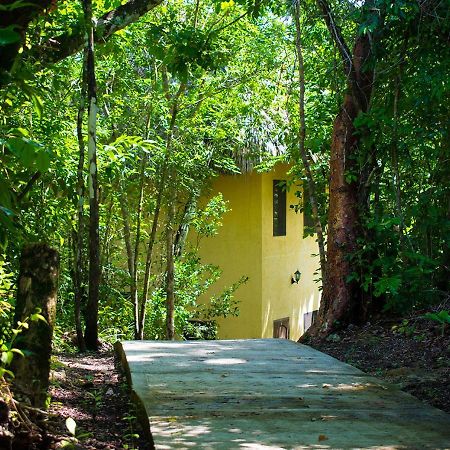 Amber Sunset Jungle Resort San Ignacio Εξωτερικό φωτογραφία