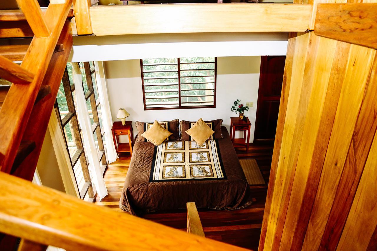 Amber Sunset Jungle Resort San Ignacio Εξωτερικό φωτογραφία