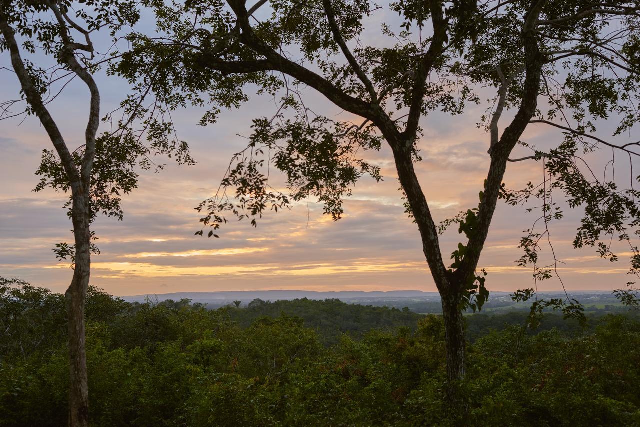 Amber Sunset Jungle Resort San Ignacio Εξωτερικό φωτογραφία