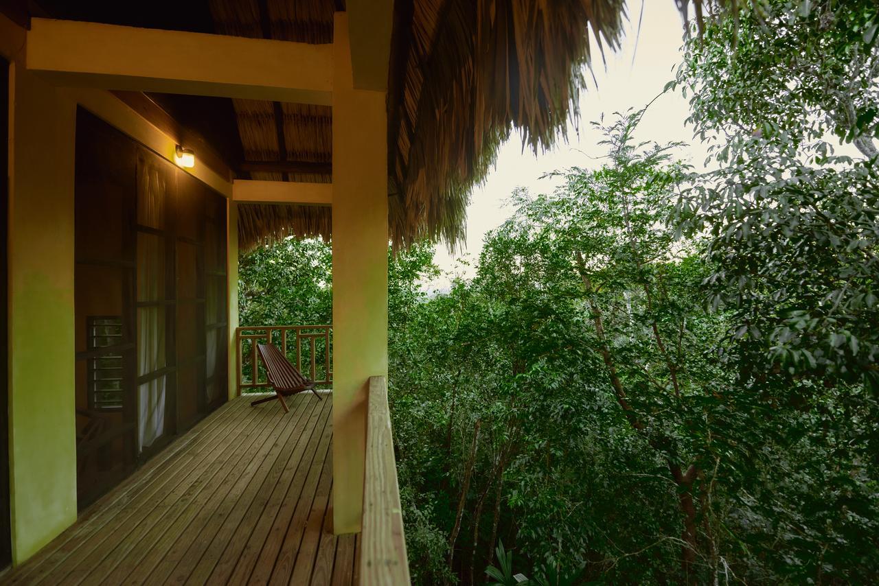 Amber Sunset Jungle Resort San Ignacio Εξωτερικό φωτογραφία