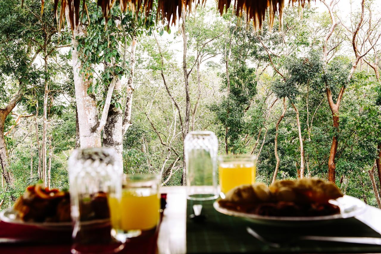 Amber Sunset Jungle Resort San Ignacio Εξωτερικό φωτογραφία