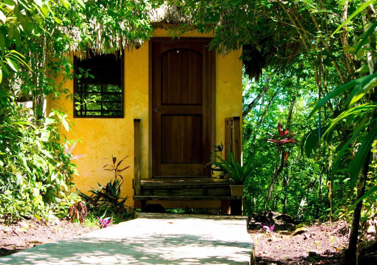 Amber Sunset Jungle Resort San Ignacio Εξωτερικό φωτογραφία