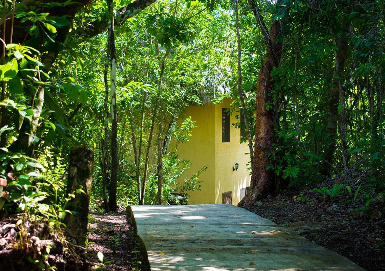 Amber Sunset Jungle Resort San Ignacio Εξωτερικό φωτογραφία