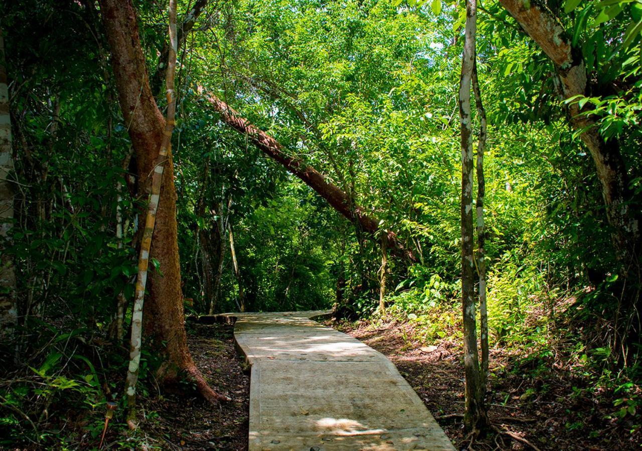 Amber Sunset Jungle Resort San Ignacio Εξωτερικό φωτογραφία